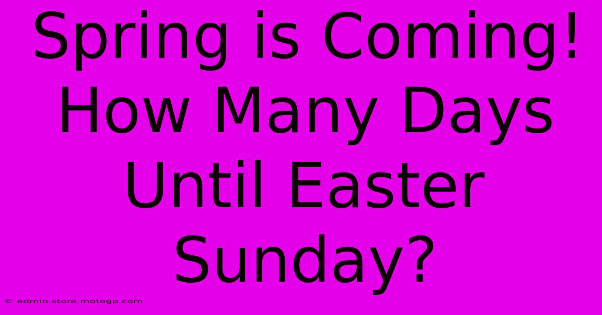 Spring Is Coming! How Many Days Until Easter Sunday?