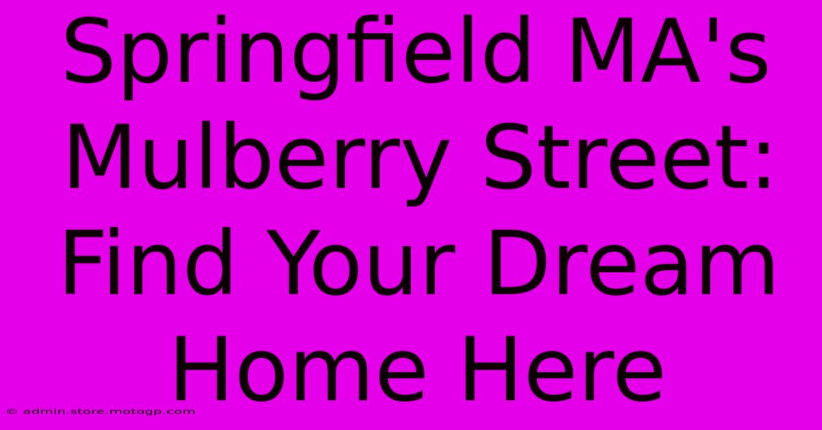 Springfield MA's Mulberry Street: Find Your Dream Home Here