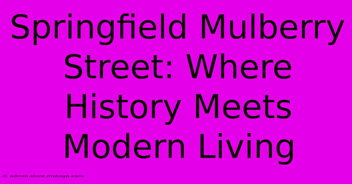 Springfield Mulberry Street: Where History Meets Modern Living