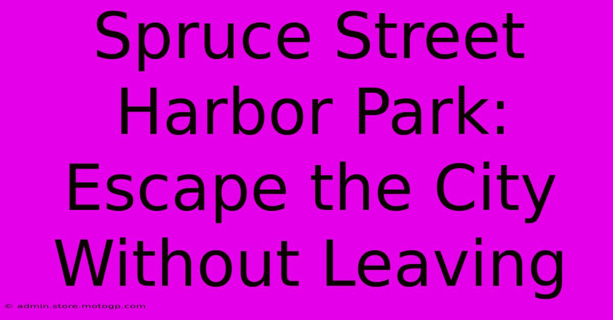 Spruce Street Harbor Park: Escape The City Without Leaving