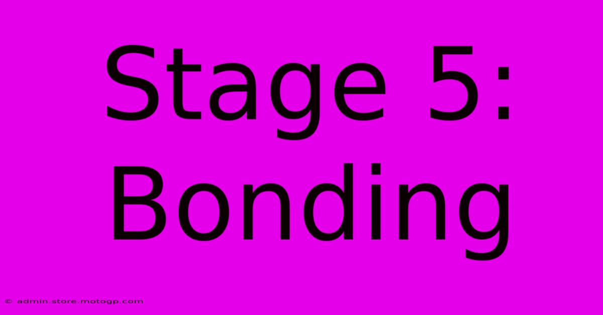 Stage 5: Bonding