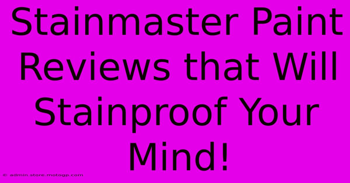 Stainmaster Paint Reviews That Will Stainproof Your Mind!