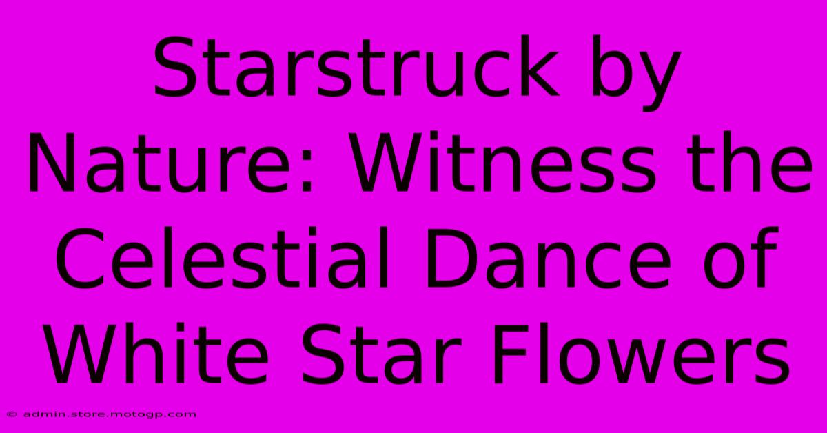 Starstruck By Nature: Witness The Celestial Dance Of White Star Flowers