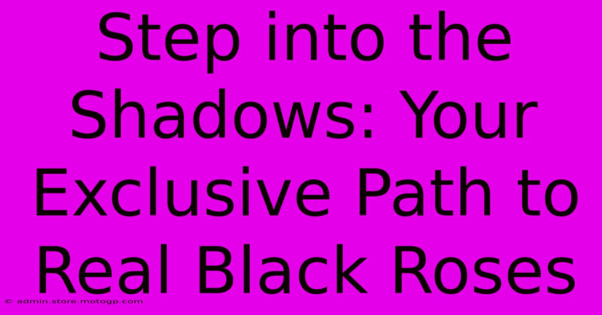 Step Into The Shadows: Your Exclusive Path To Real Black Roses