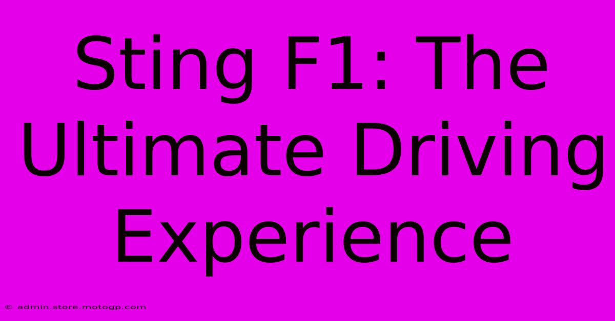 Sting F1: The Ultimate Driving Experience