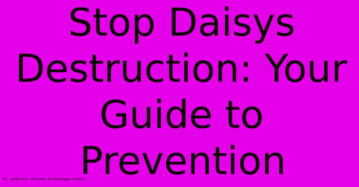 Stop Daisys Destruction: Your Guide To Prevention