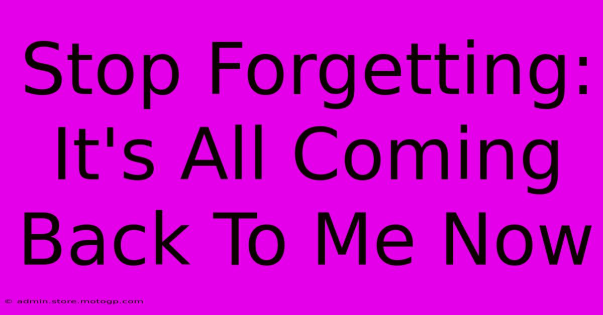 Stop Forgetting: It's All Coming Back To Me Now