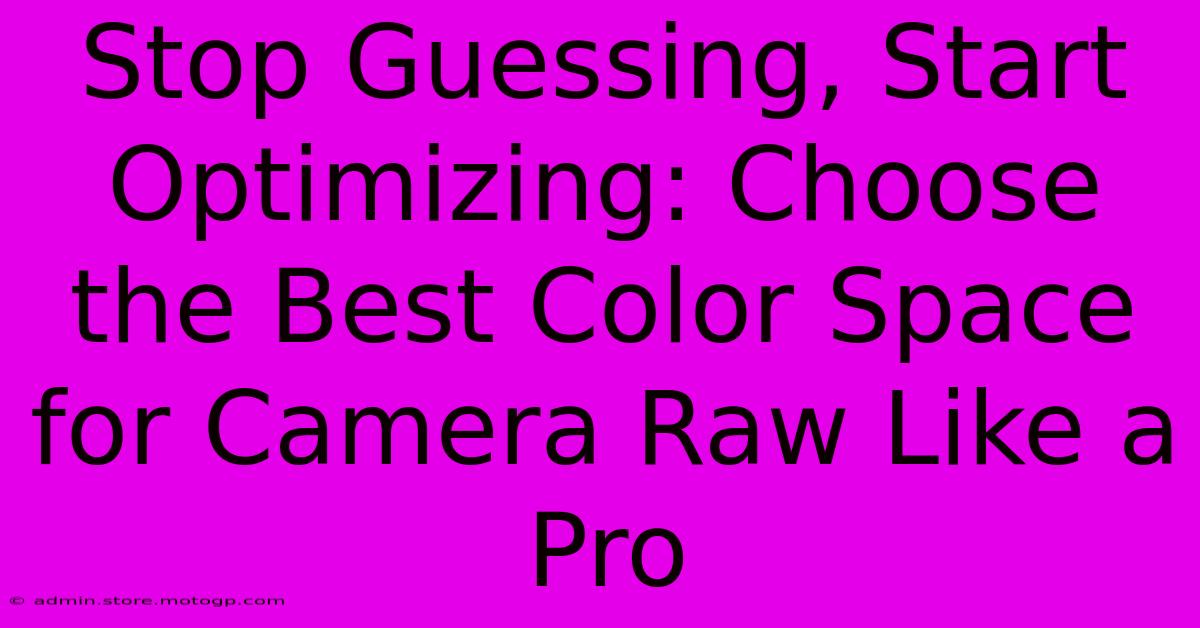 Stop Guessing, Start Optimizing: Choose The Best Color Space For Camera Raw Like A Pro