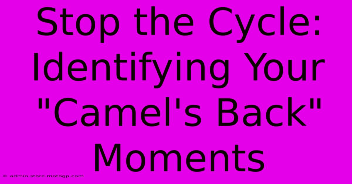 Stop The Cycle: Identifying Your 