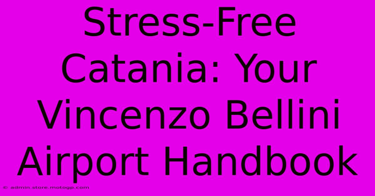 Stress-Free Catania: Your Vincenzo Bellini Airport Handbook