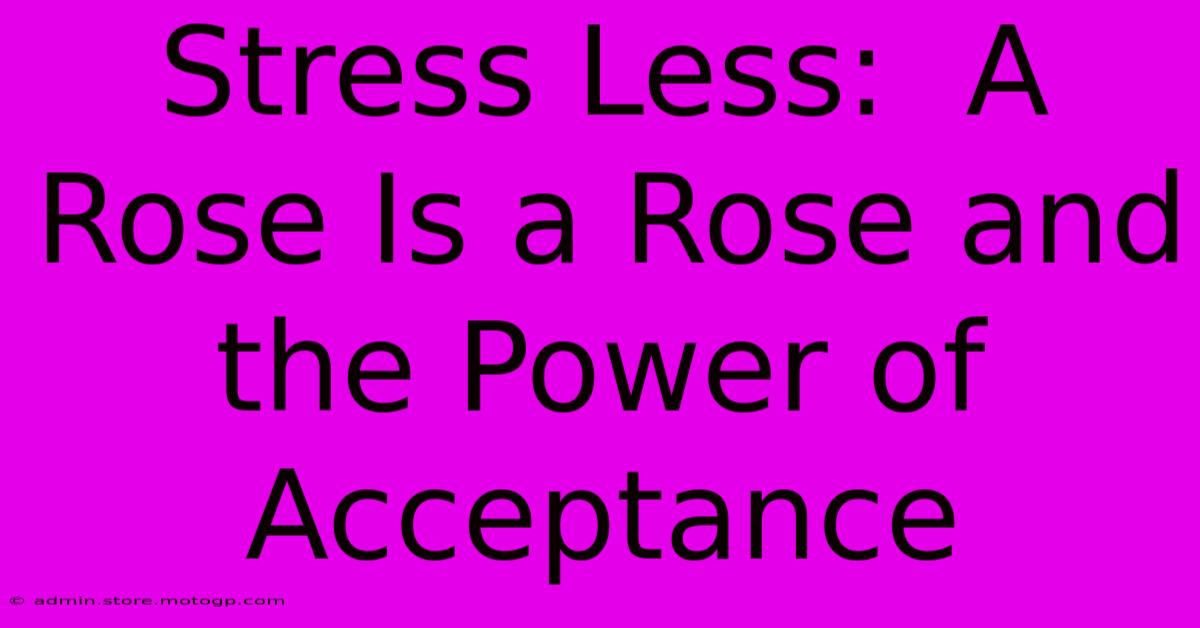 Stress Less:  A Rose Is A Rose And The Power Of Acceptance