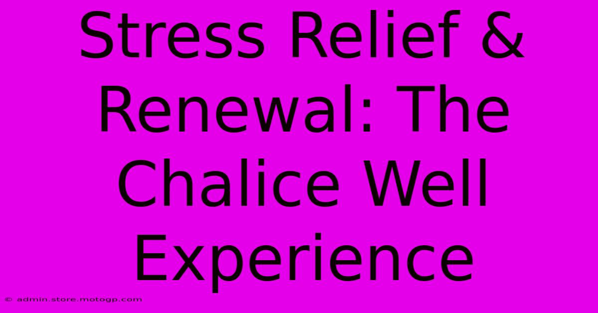 Stress Relief & Renewal: The Chalice Well Experience