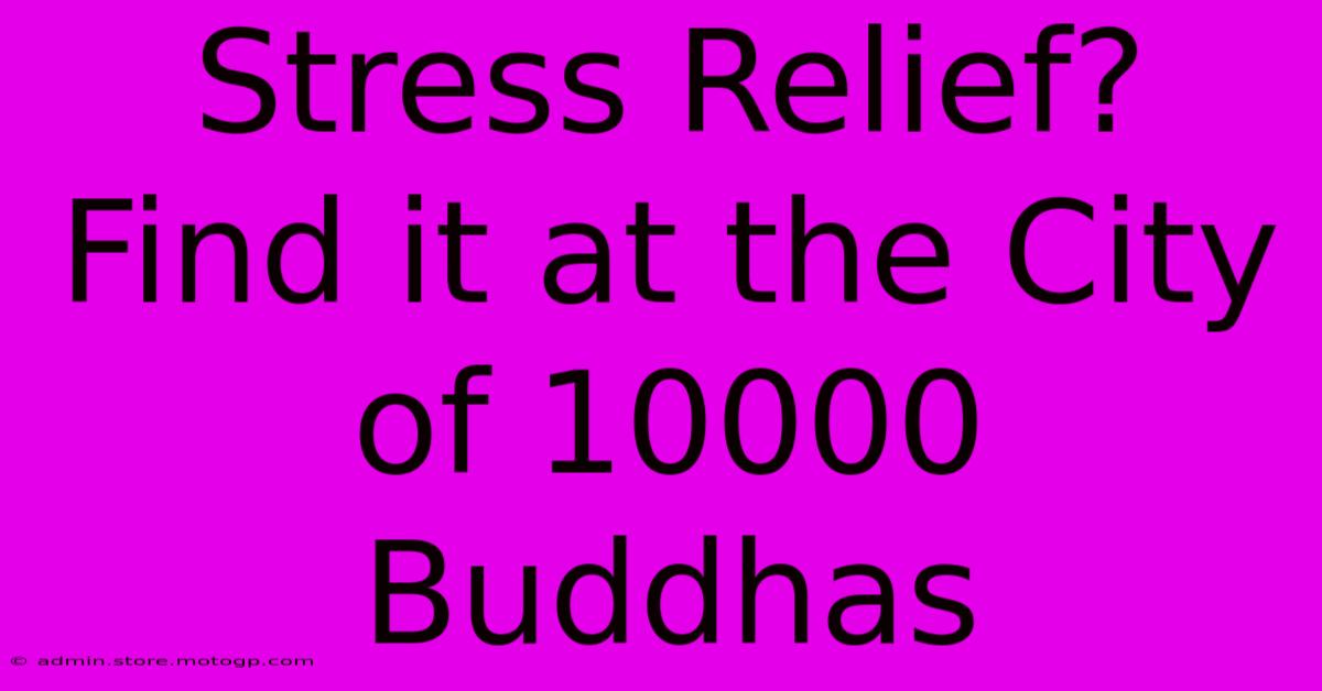 Stress Relief? Find It At The City Of 10000 Buddhas