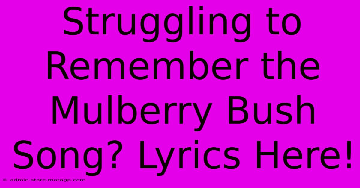 Struggling To Remember The Mulberry Bush Song? Lyrics Here!