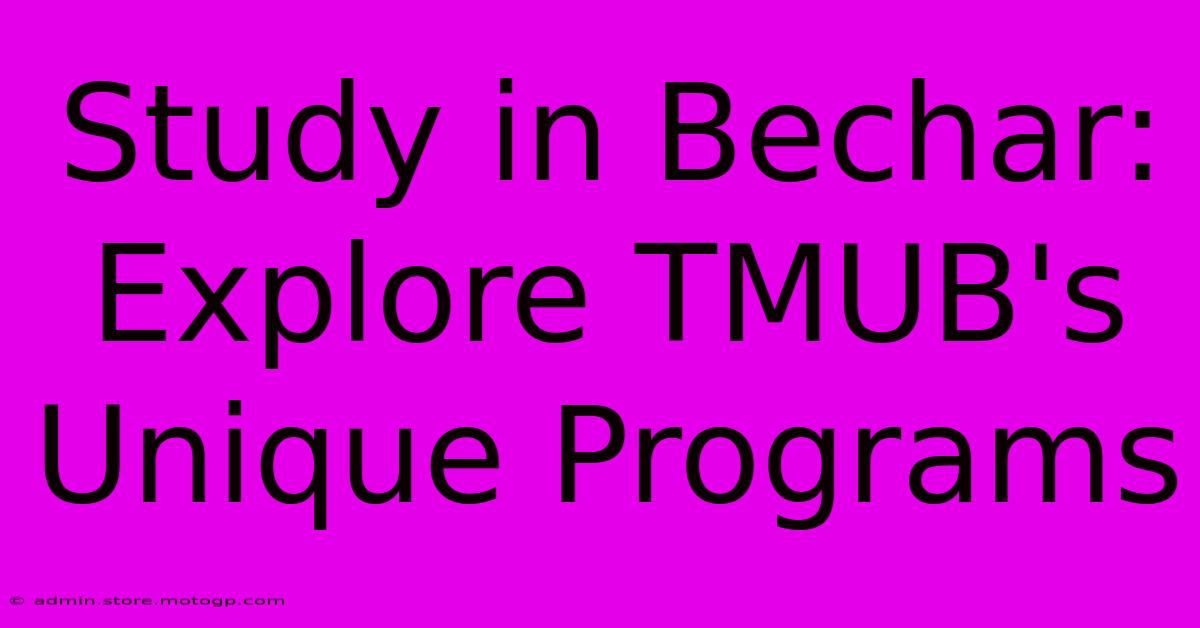 Study In Bechar: Explore TMUB's Unique Programs