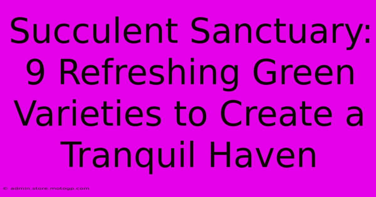 Succulent Sanctuary: 9 Refreshing Green Varieties To Create A Tranquil Haven