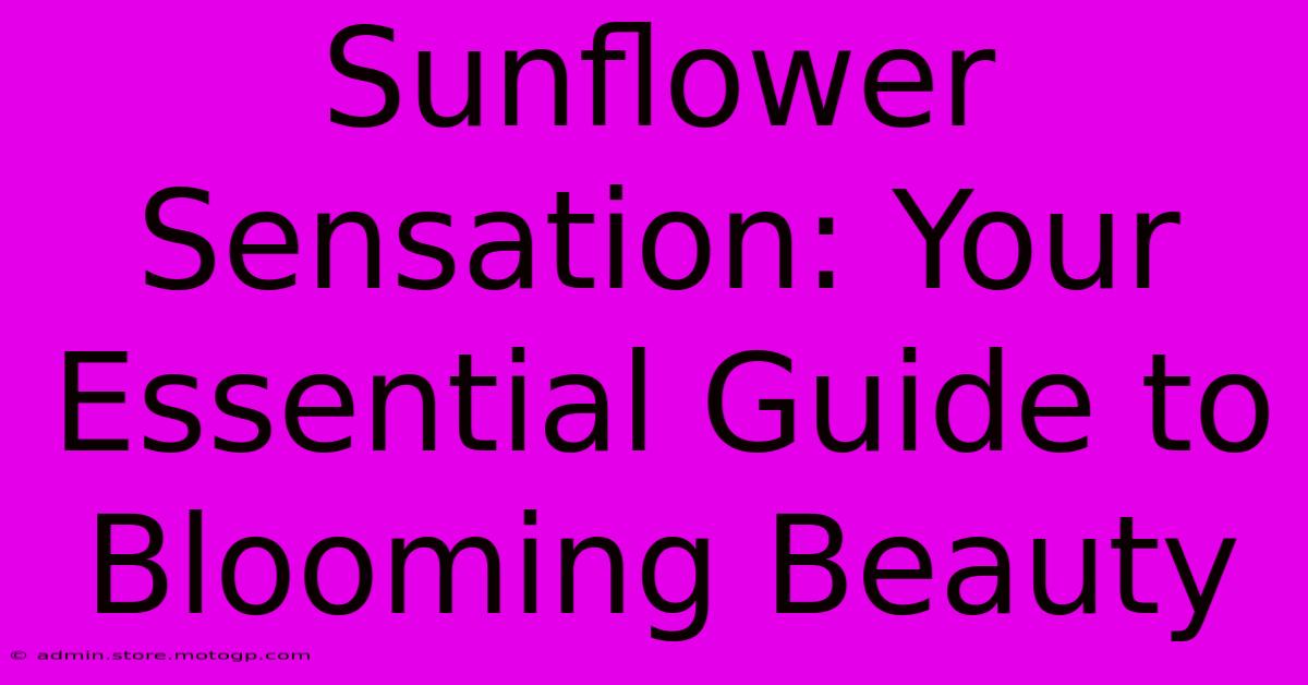 Sunflower Sensation: Your Essential Guide To Blooming Beauty