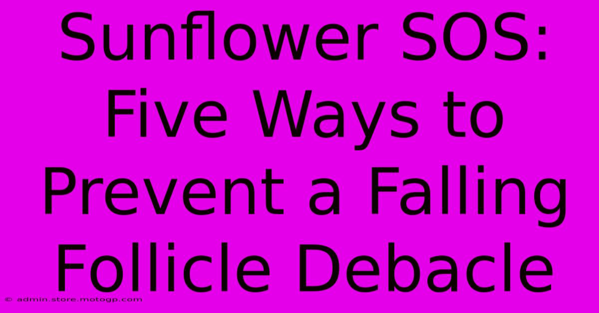 Sunflower SOS: Five Ways To Prevent A Falling Follicle Debacle