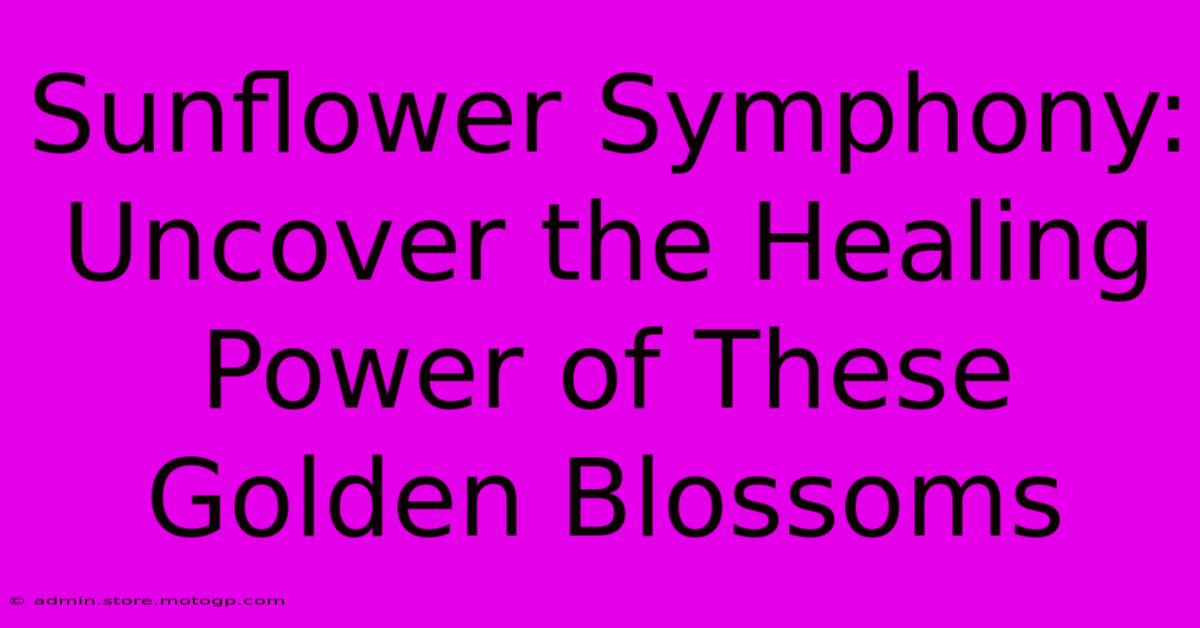 Sunflower Symphony: Uncover The Healing Power Of These Golden Blossoms