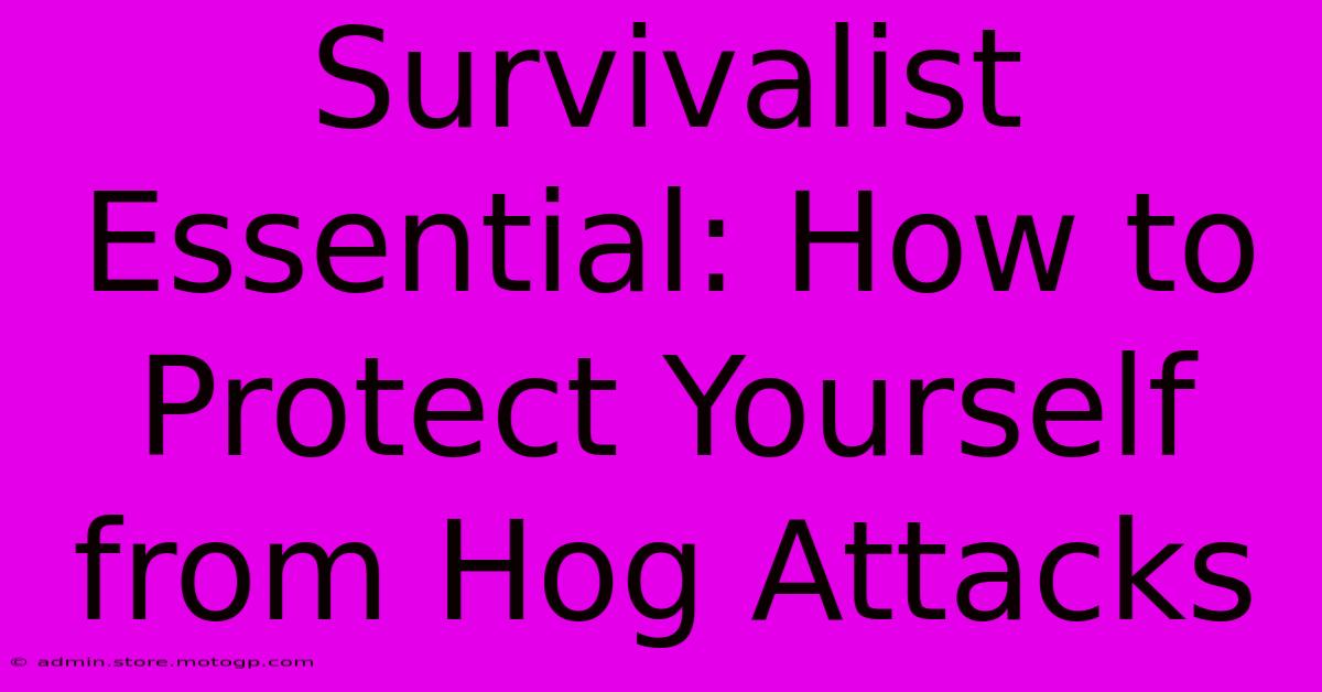 Survivalist Essential: How To Protect Yourself From Hog Attacks