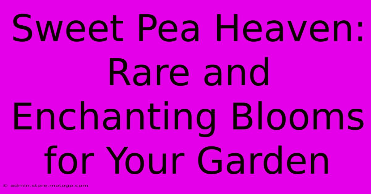 Sweet Pea Heaven: Rare And Enchanting Blooms For Your Garden