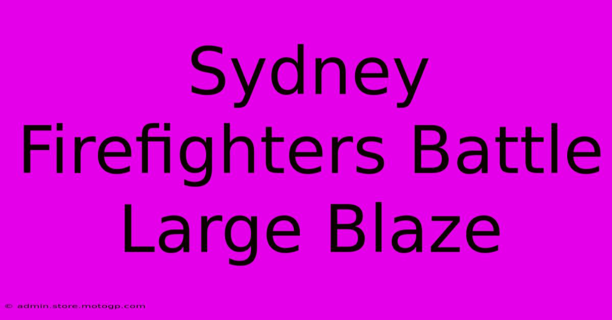 Sydney Firefighters Battle Large Blaze