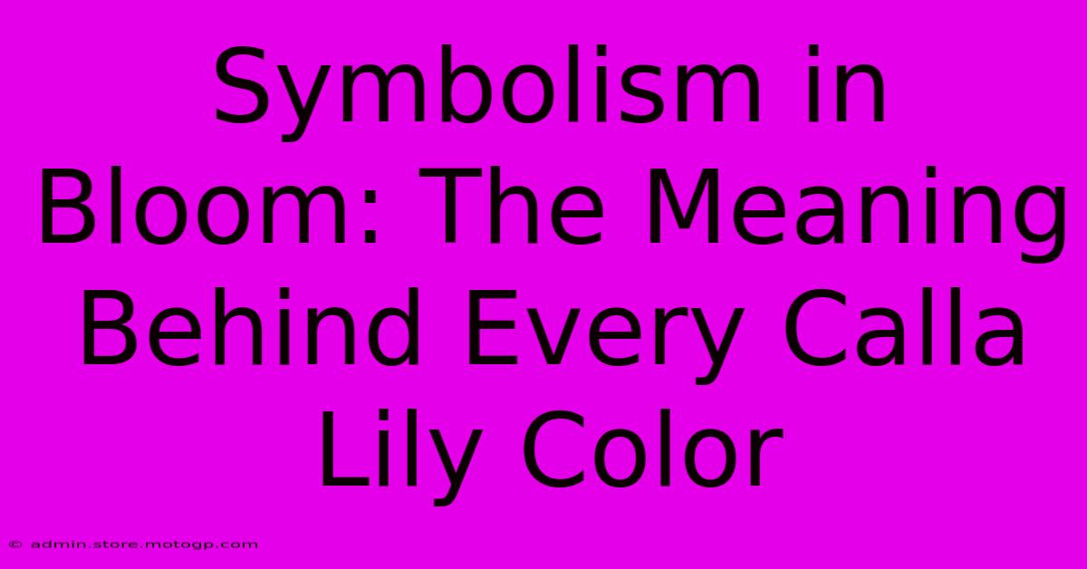 Symbolism In Bloom: The Meaning Behind Every Calla Lily Color