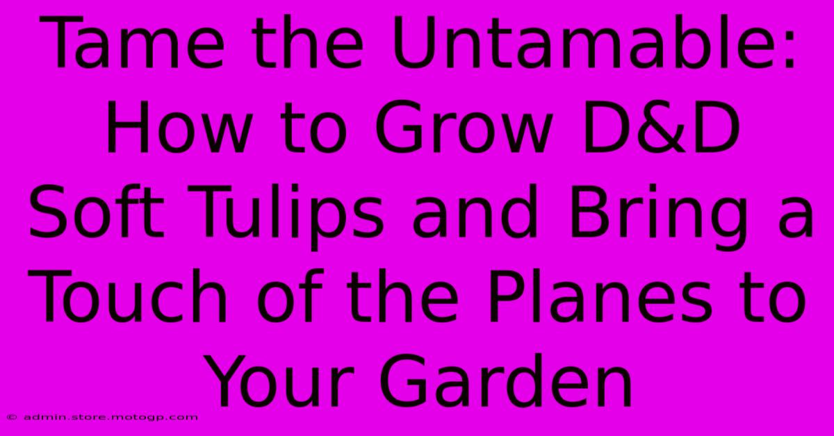 Tame The Untamable: How To Grow D&D Soft Tulips And Bring A Touch Of The Planes To Your Garden