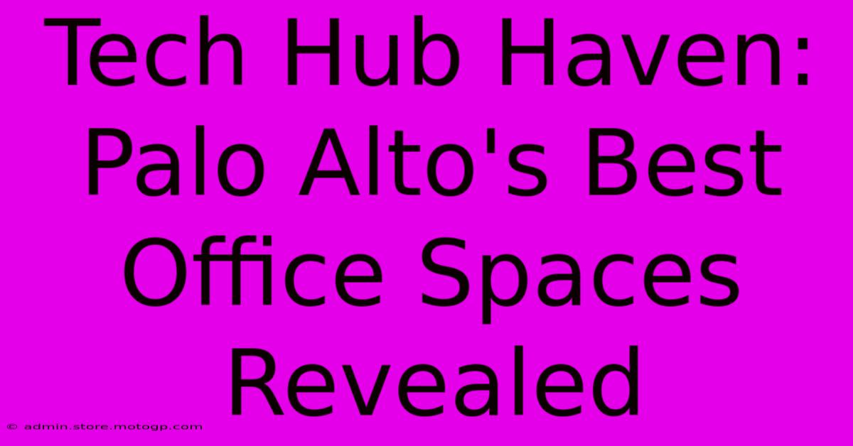 Tech Hub Haven: Palo Alto's Best Office Spaces Revealed