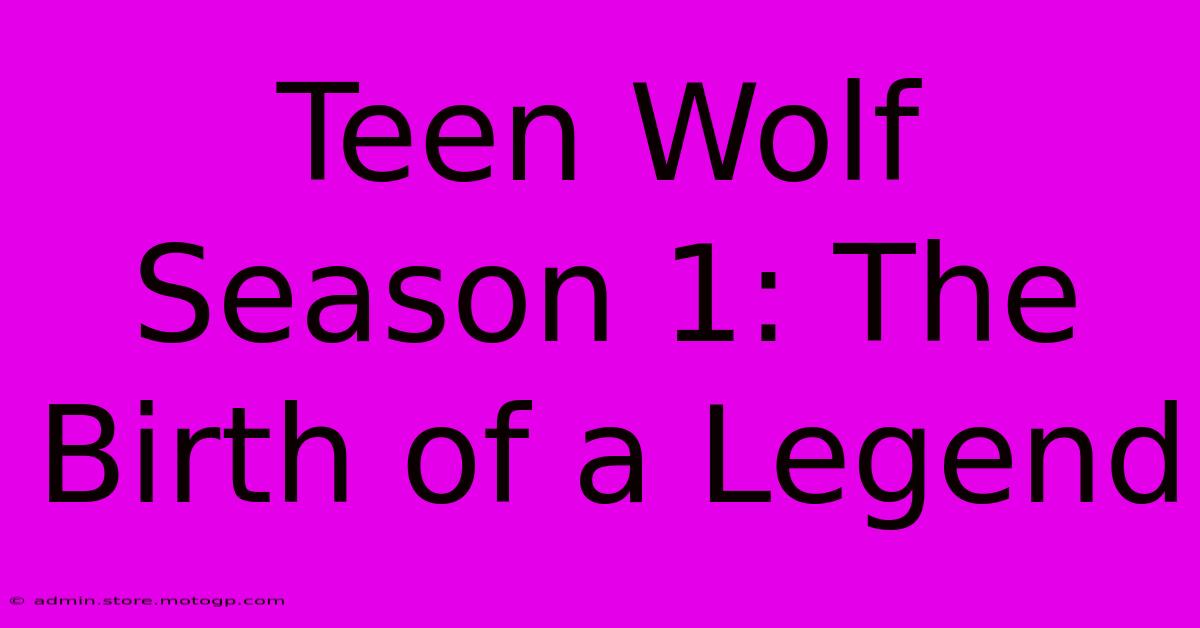 Teen Wolf Season 1: The Birth Of A Legend