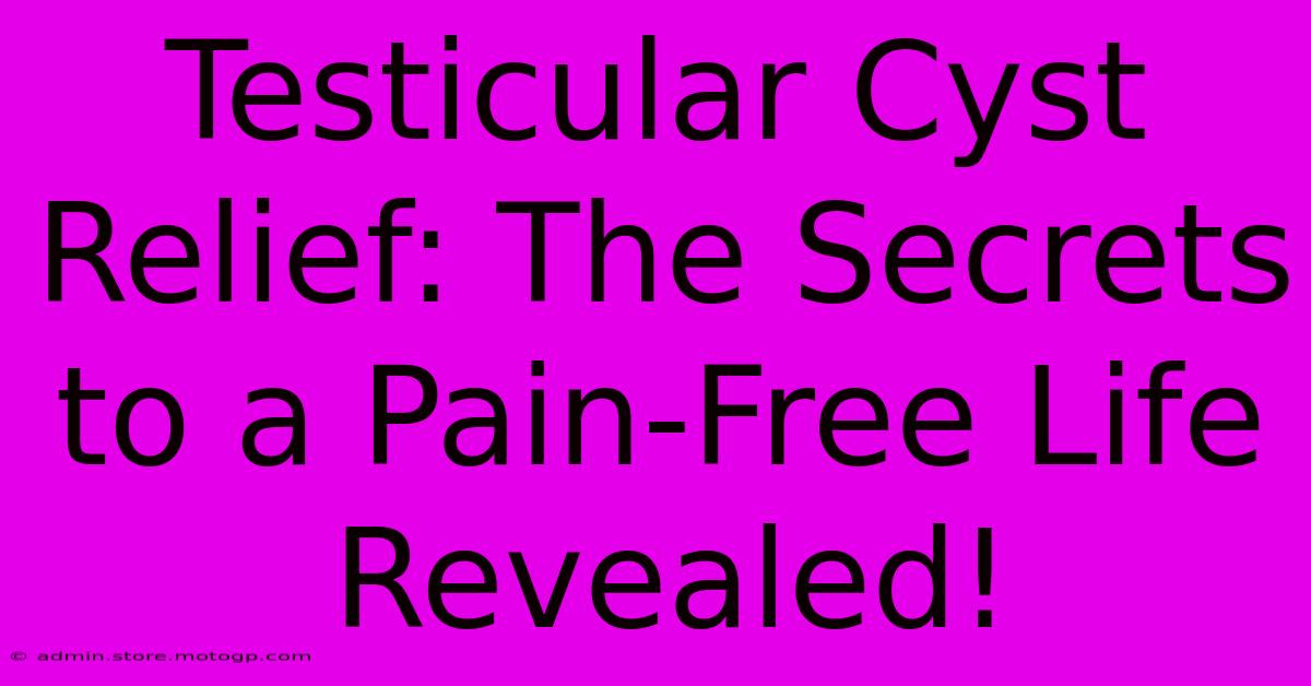 Testicular Cyst Relief: The Secrets To A Pain-Free Life Revealed!