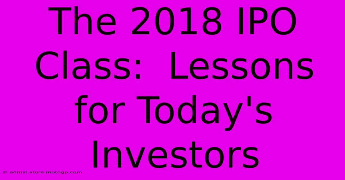 The 2018 IPO Class:  Lessons For Today's Investors