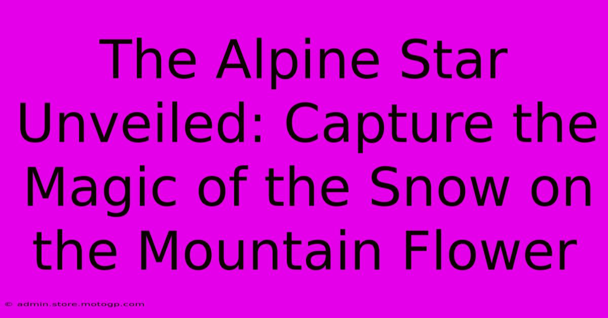 The Alpine Star Unveiled: Capture The Magic Of The Snow On The Mountain Flower