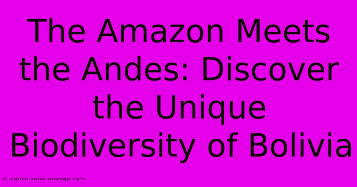 The Amazon Meets The Andes: Discover The Unique Biodiversity Of Bolivia