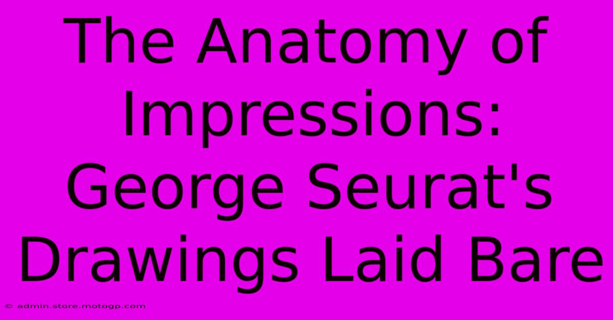 The Anatomy Of Impressions: George Seurat's Drawings Laid Bare