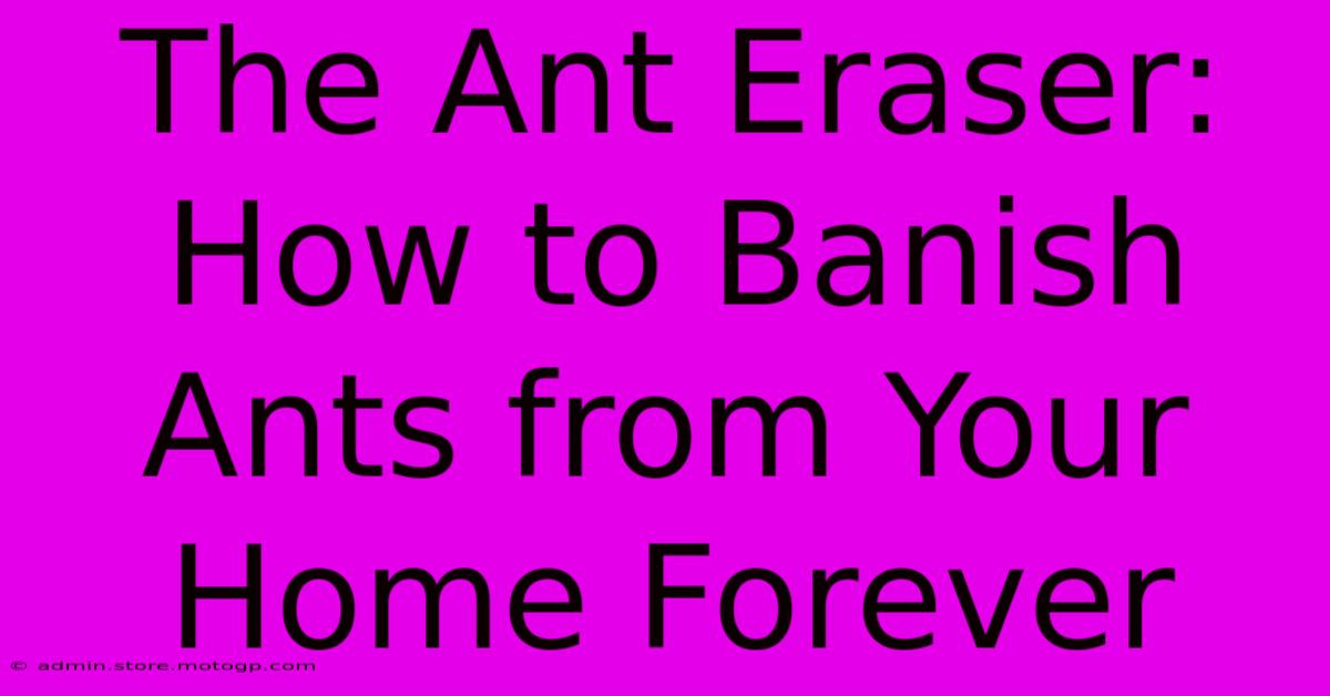 The Ant Eraser: How To Banish Ants From Your Home Forever