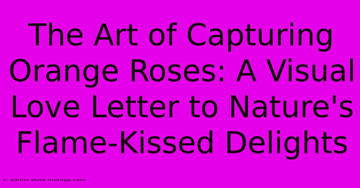 The Art Of Capturing Orange Roses: A Visual Love Letter To Nature's Flame-Kissed Delights