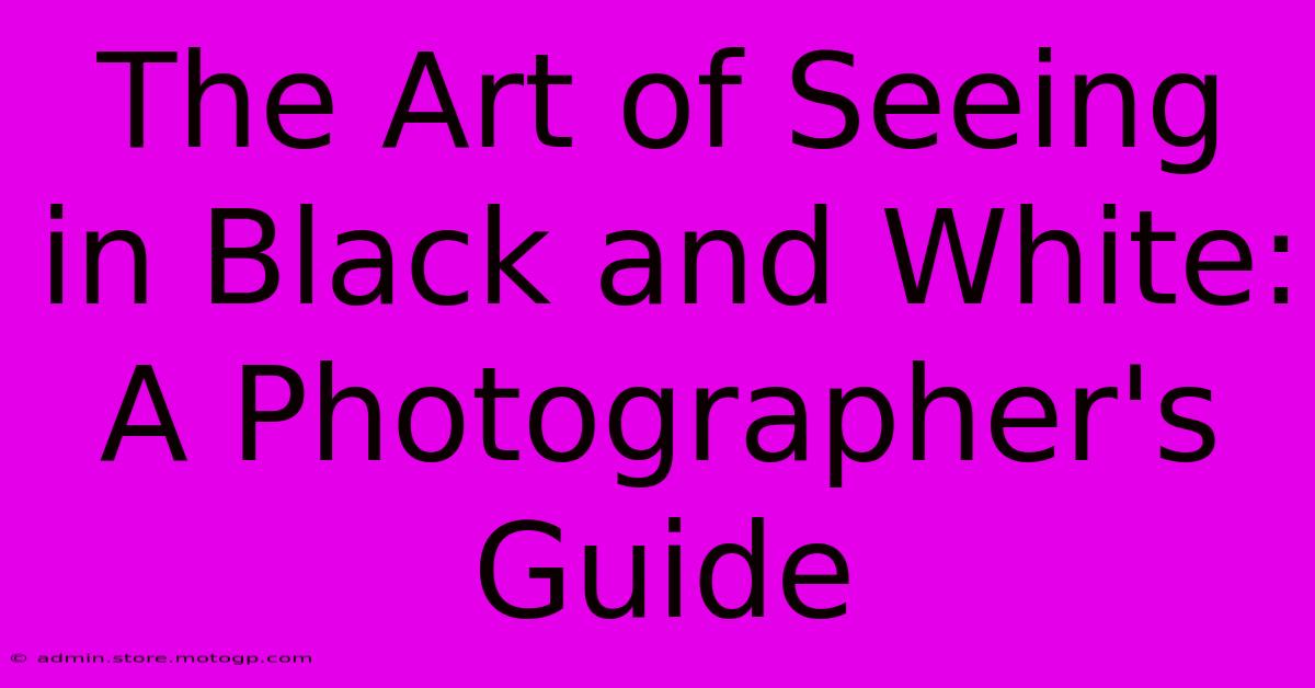 The Art Of Seeing In Black And White: A Photographer's Guide