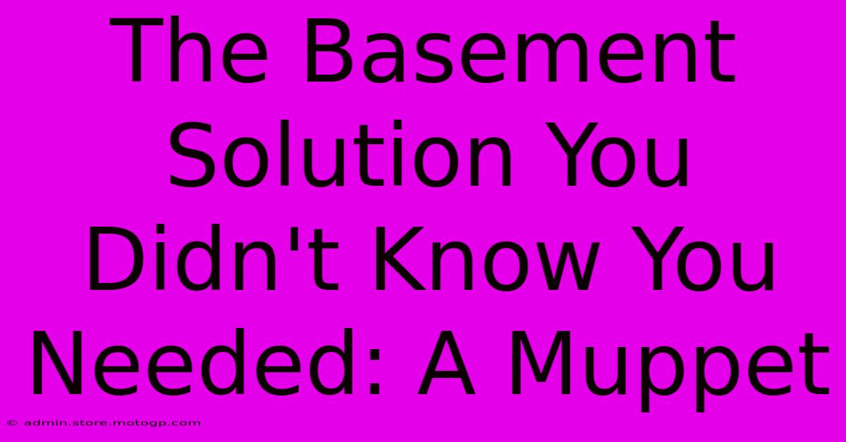 The Basement Solution You Didn't Know You Needed: A Muppet