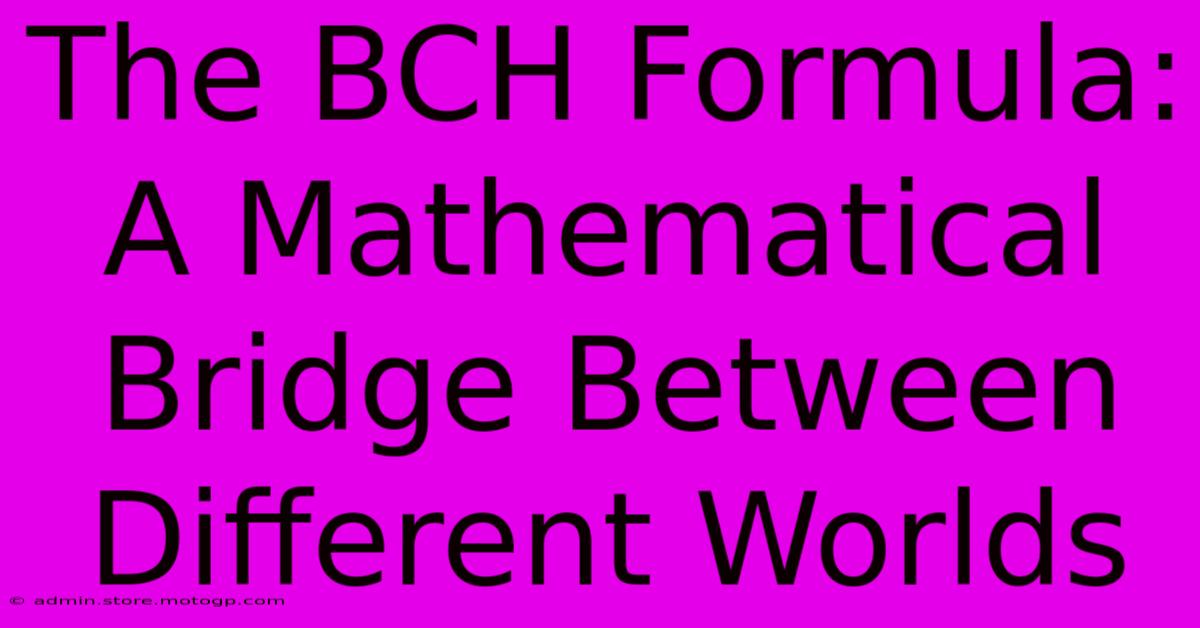 The BCH Formula:  A Mathematical Bridge Between Different Worlds