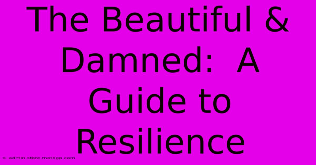 The Beautiful & Damned:  A Guide To Resilience 