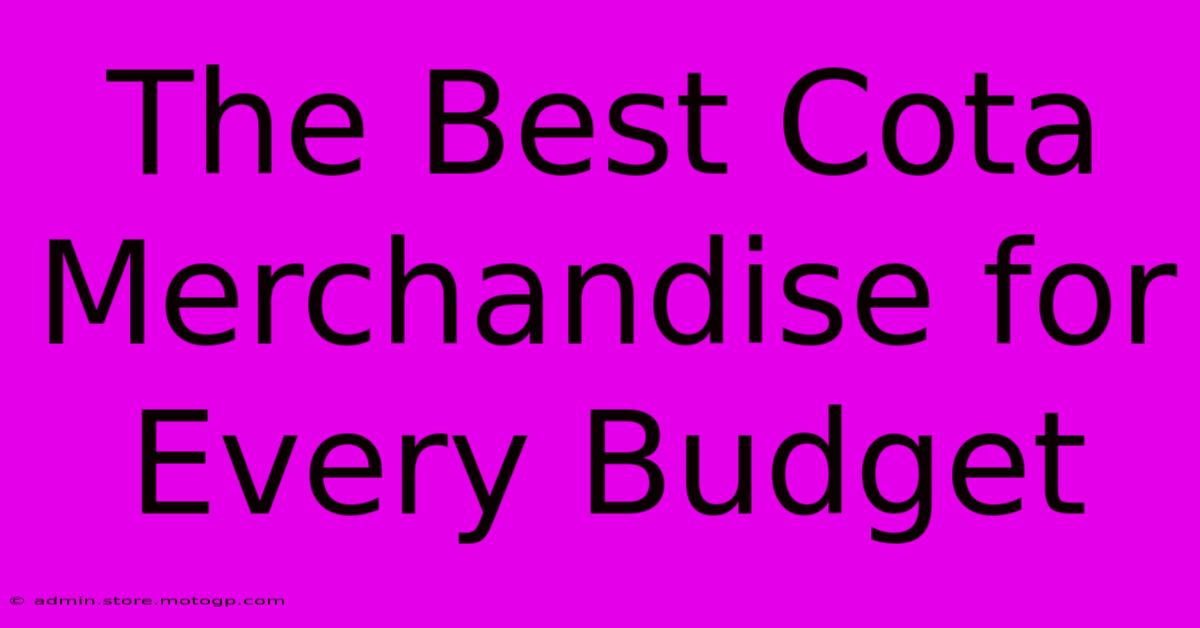 The Best Cota Merchandise For Every Budget