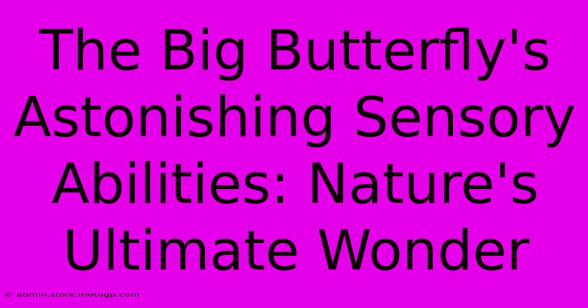 The Big Butterfly's Astonishing Sensory Abilities: Nature's Ultimate Wonder