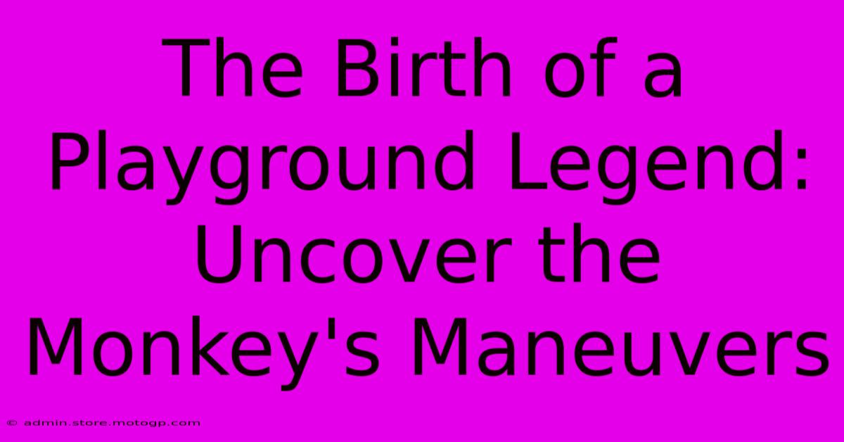 The Birth Of A Playground Legend: Uncover The Monkey's Maneuvers