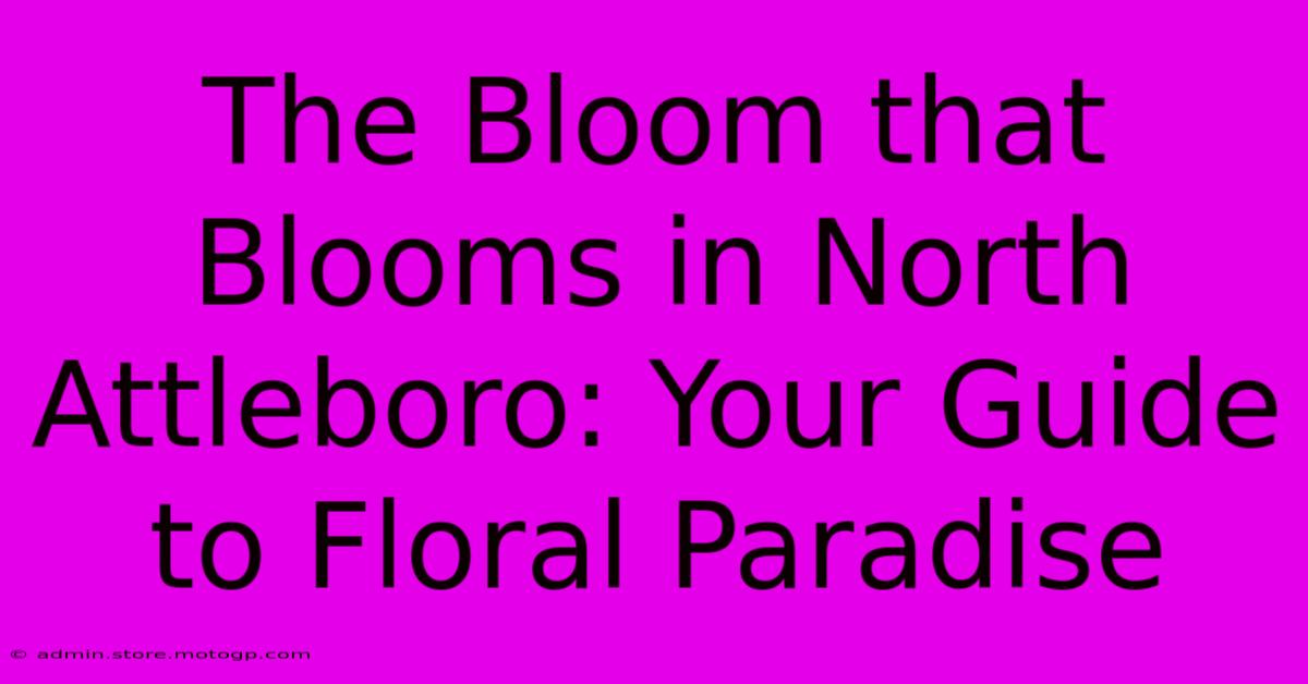 The Bloom That Blooms In North Attleboro: Your Guide To Floral Paradise