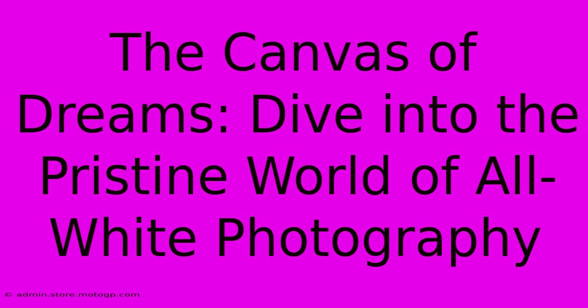 The Canvas Of Dreams: Dive Into The Pristine World Of All-White Photography