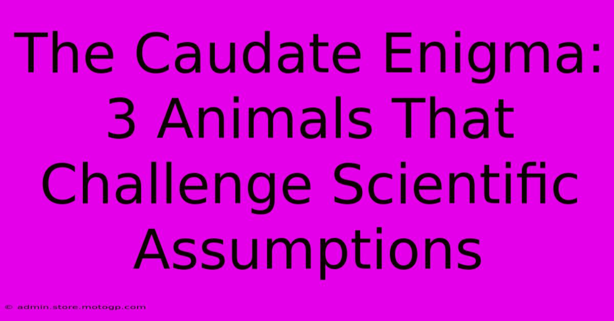 The Caudate Enigma: 3 Animals That Challenge Scientific Assumptions