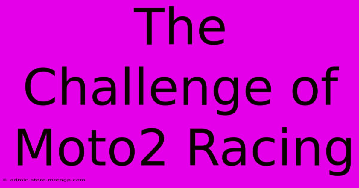 The Challenge Of Moto2 Racing