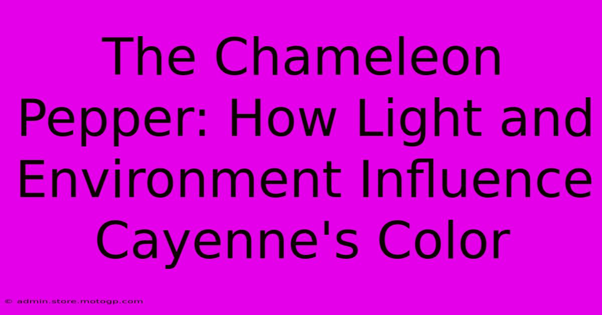 The Chameleon Pepper: How Light And Environment Influence Cayenne's Color