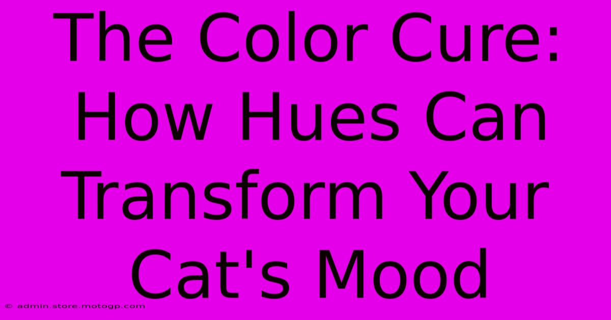 The Color Cure: How Hues Can Transform Your Cat's Mood